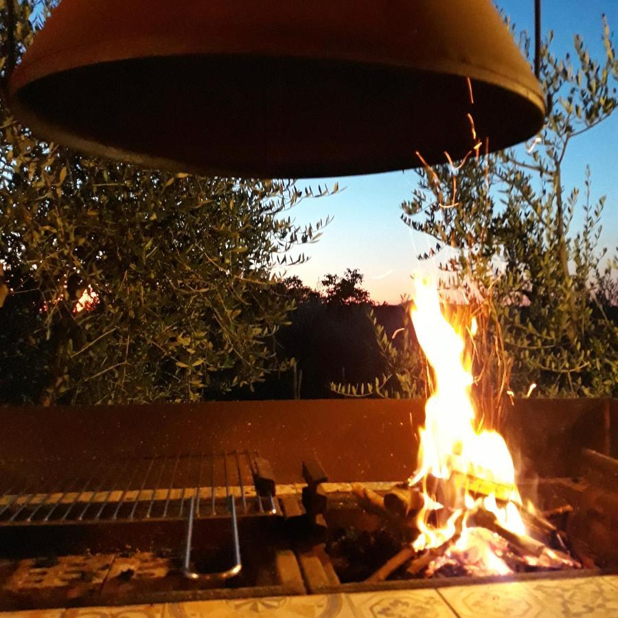 La Vigna Countrybnb Montottone 外观 照片